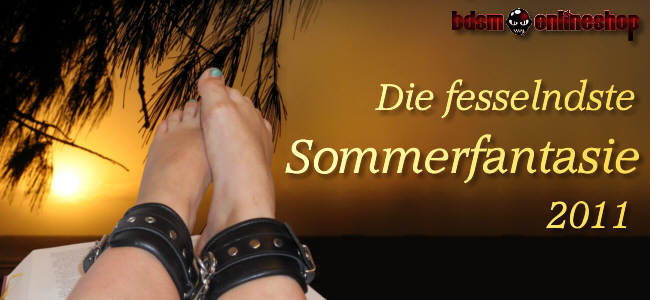 Schreibwettbewerb: Die fesselndste Sommerfantasie 2011