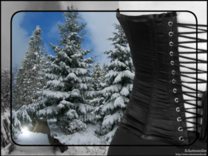 Hintergrundbild ›Weihnachten 2006‹