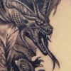 Dragoneer